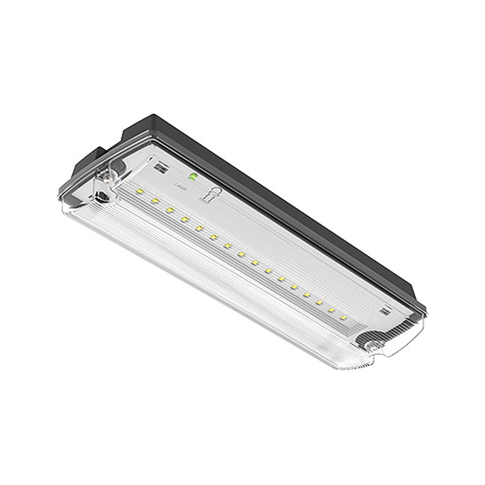 Black LED emergency bulkhead light