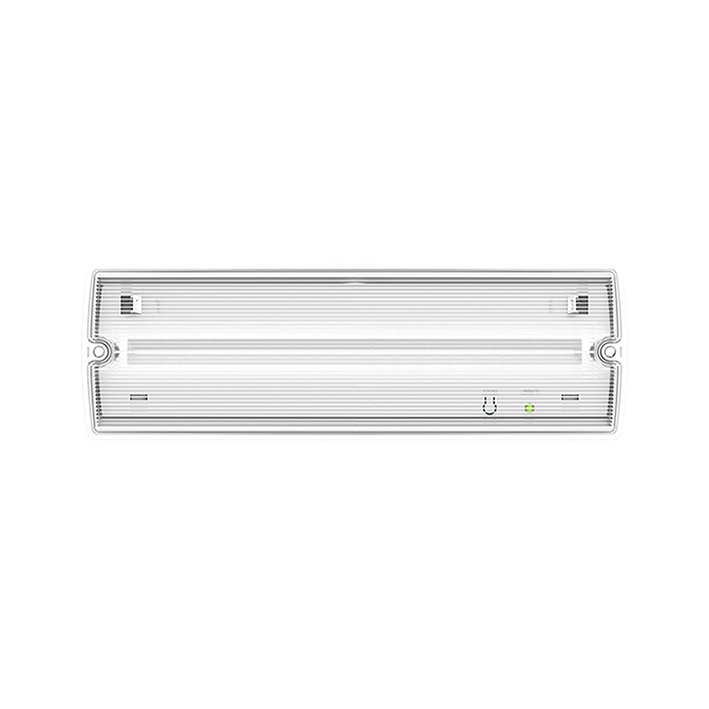 IP66 waterproof emergency light front view