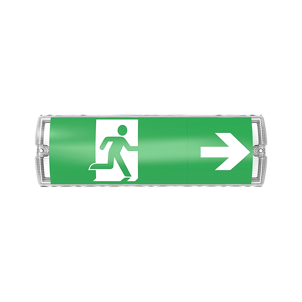 LED emergency light with exit diffuser kit