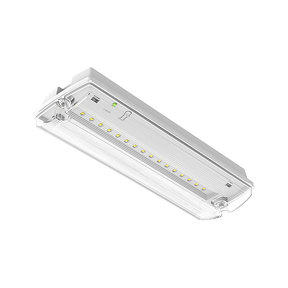White IP66 LED emergency bulkhead light