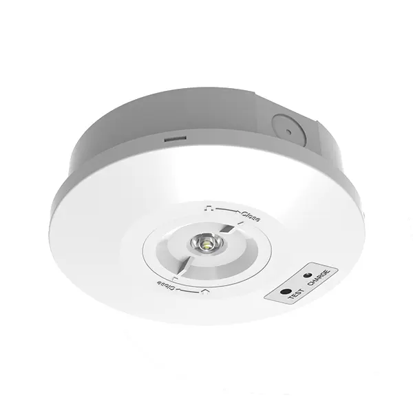 IP65 round white LED emergency light with interchangeable lens