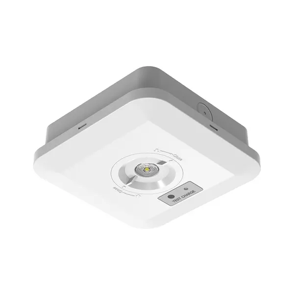 Square white IP65 LED emergency light housing options
